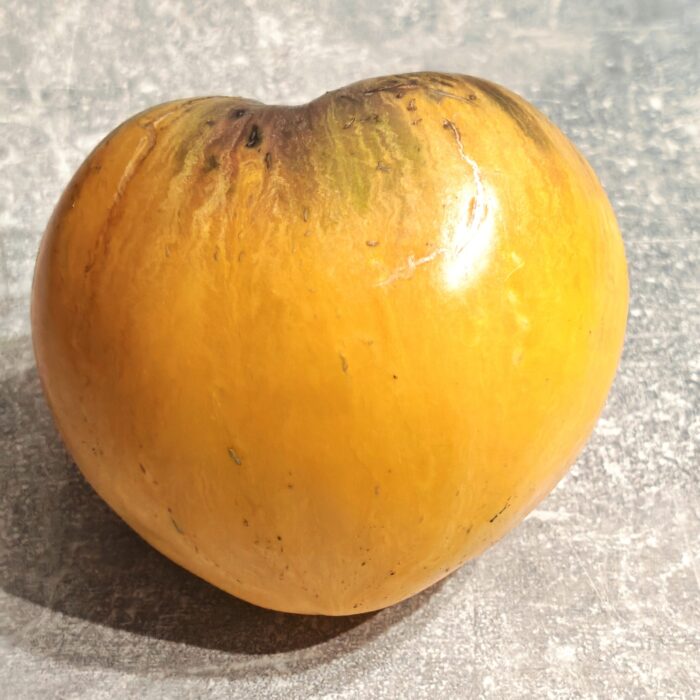 Pomidor Melon Liqueur (Kolekcja Sofia Saakova)