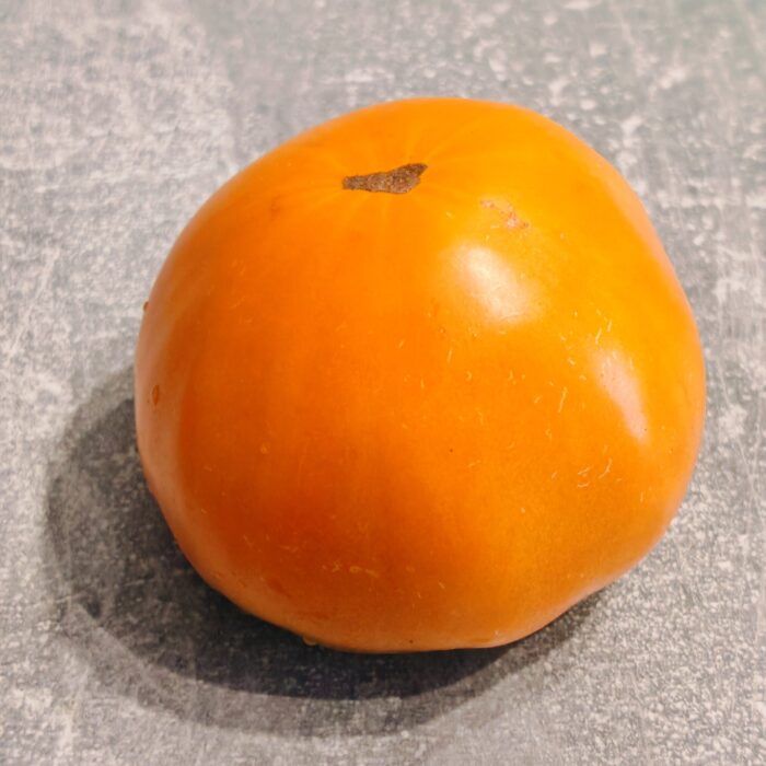 00415 Gigant Limonnyi