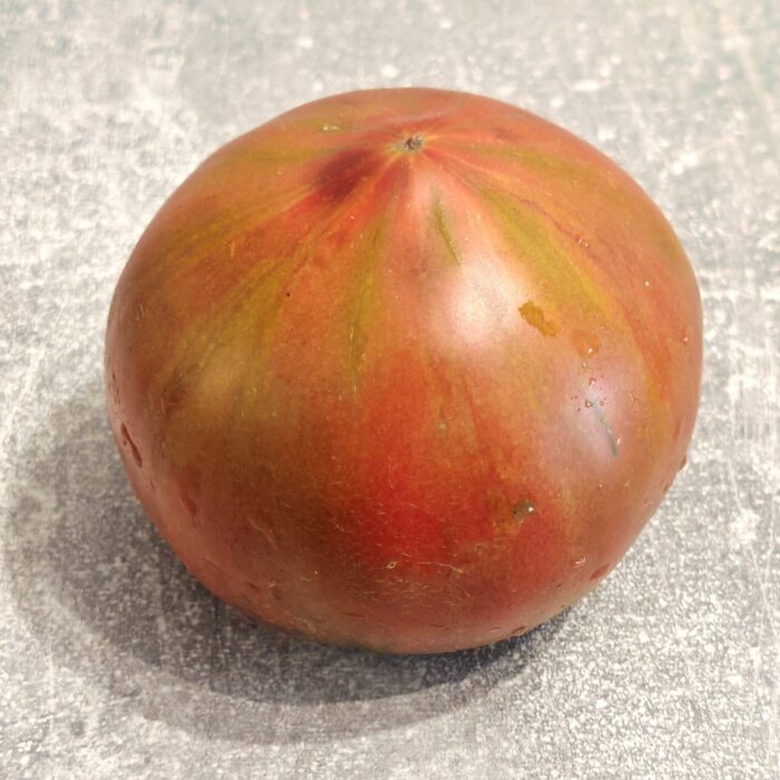 Pomidor Semirechye Tricolor (Kazachstan) (Kolekcja Alifirov)