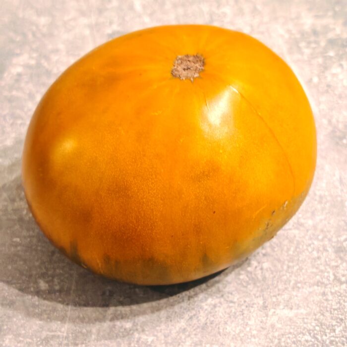 00399 Elser’s Brown Derby