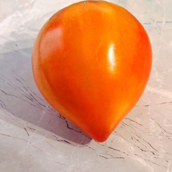 Pomidor Amber Baron (Kolekcja  Alifirov)