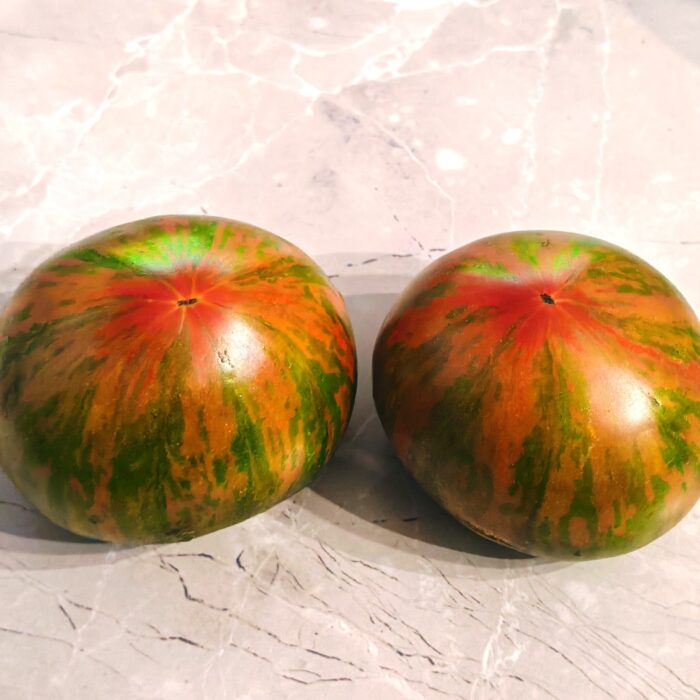 Pomidor Rojo-Verde ou Bicolore Jarl