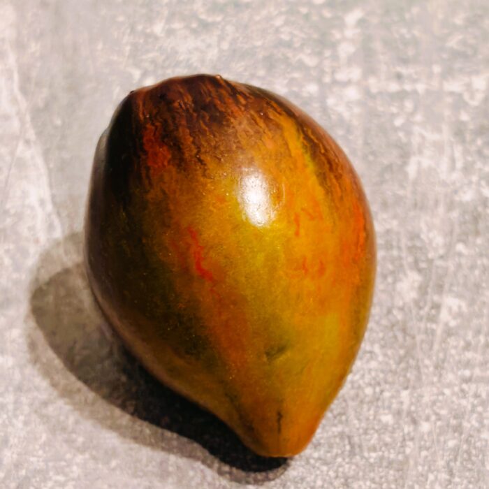 00466 Elena's Emerald Caramel  (Kolekcja Sofia Saakova)