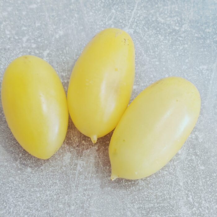 Pomidor Cream Sausage