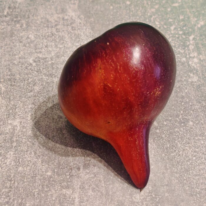 00427 Ognista Kometa Sofii /Огненная Комета Софии (Kolekcja Sofia Saakova)