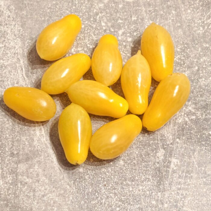 Pomidor Ivory Tears (multiflora)