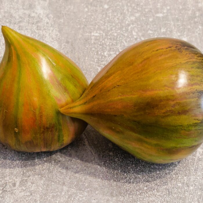 00463 Magic Rainbow (Kolekcja Sofia Saakovas)