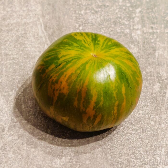 00066 Cherokee Lime Stripes