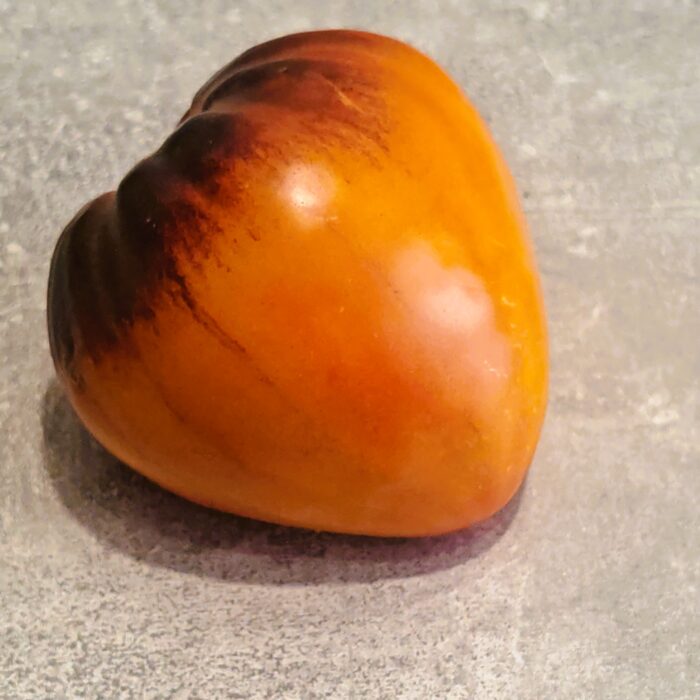 00425 Sierżant Ananas Ruddy/ Ананасный Сержант румяный (Kolekcja Sofia Saakova)