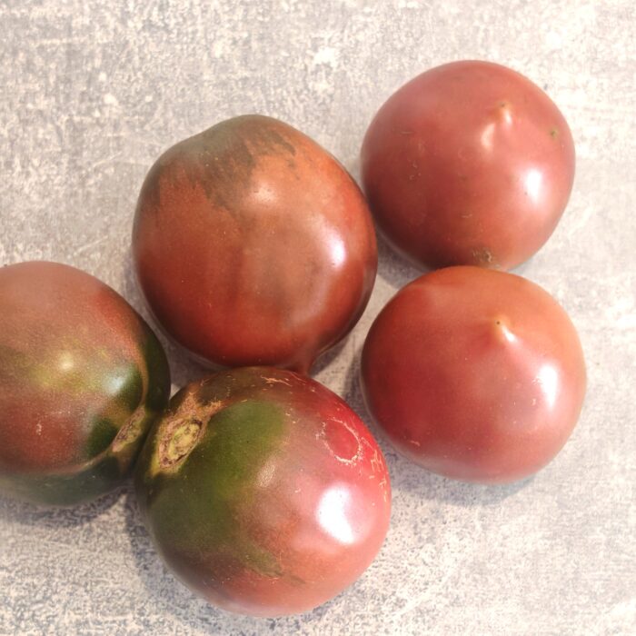 00483 Black Goddess/ Chernaja Boginja