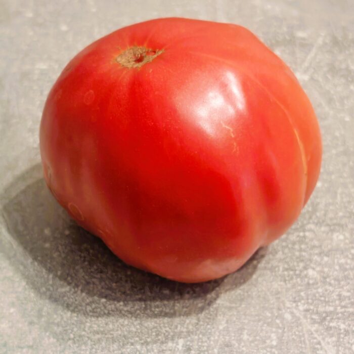 Pomidor Watermelon Beefsteak