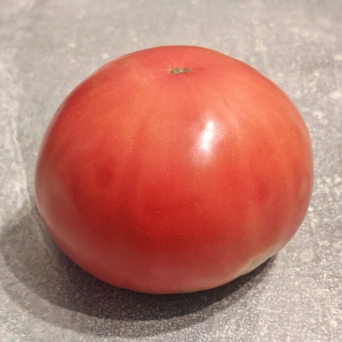 Pomidor Matka Rosja