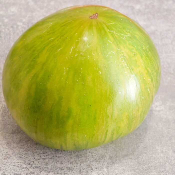 00429 Chloe + Gindys West Virginia (Kolekcja Sofia Saakova)