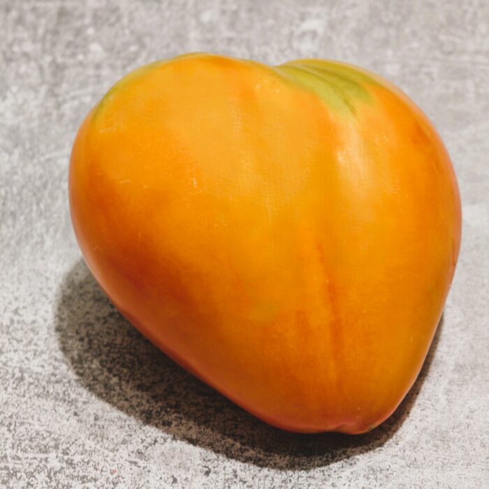 00453 Pomarańczowy Słoń Minusinsk / МИНУСИНСКИЙ ОРАНЖЕВЫЙ СЛОН