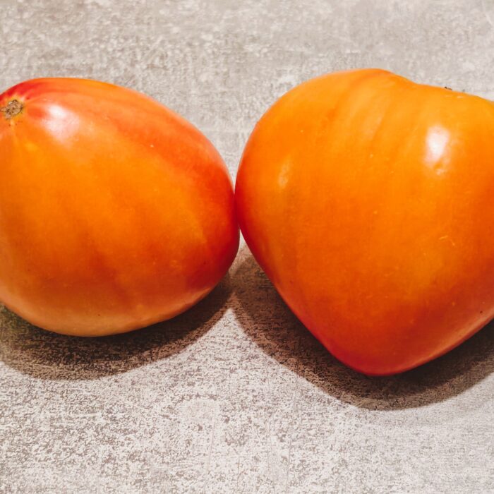 00450 Canadian Heritage