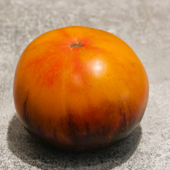 00388 Blue Pineapple Lineage