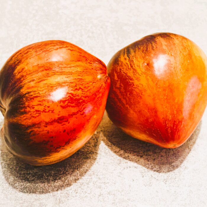 00421 Sweet Caramel Sofii/ Сладкая Карамель Софии (Kolekcja Sofia Saakova)