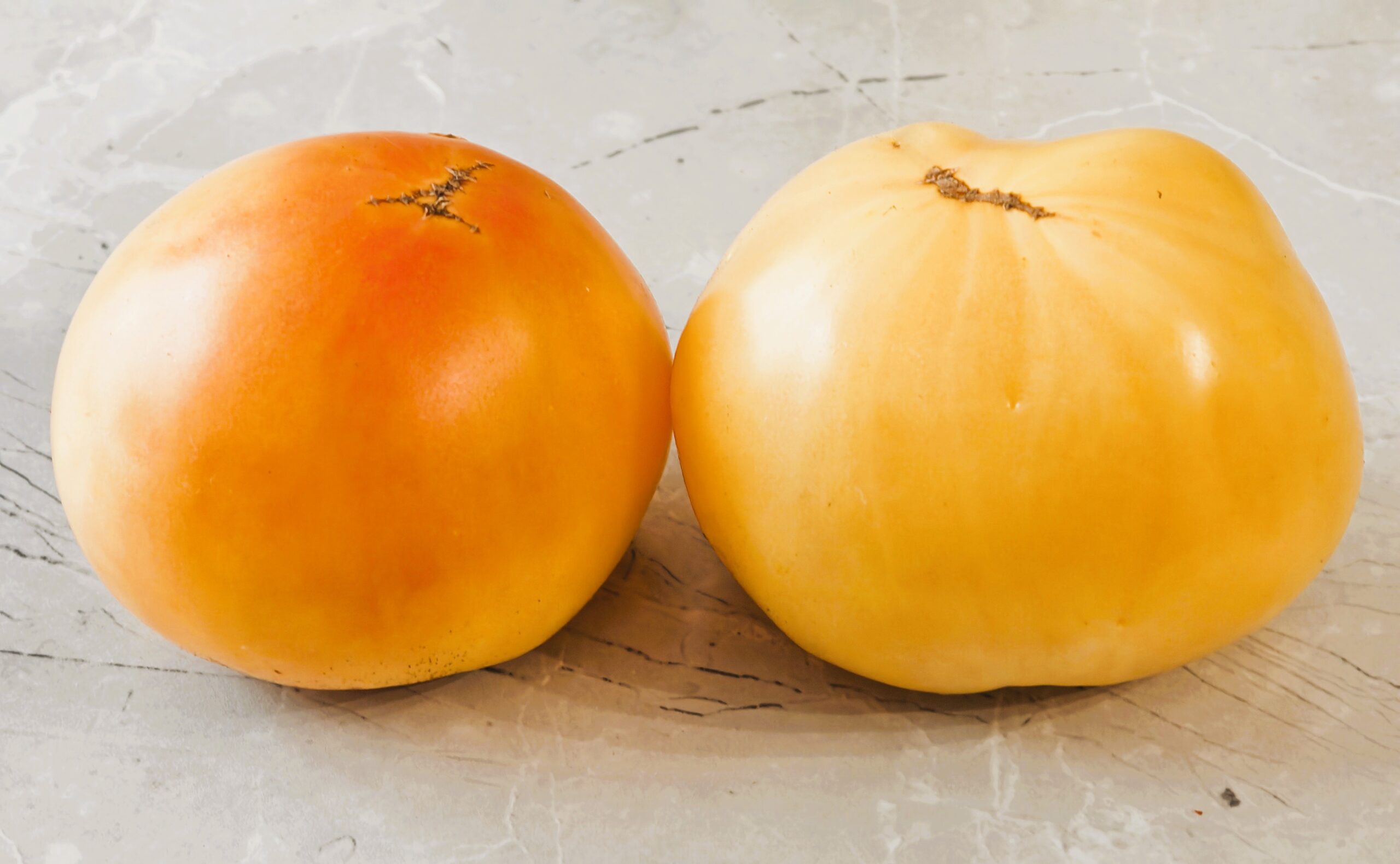 Pomidor Great White Beefsteak - obrazek 4