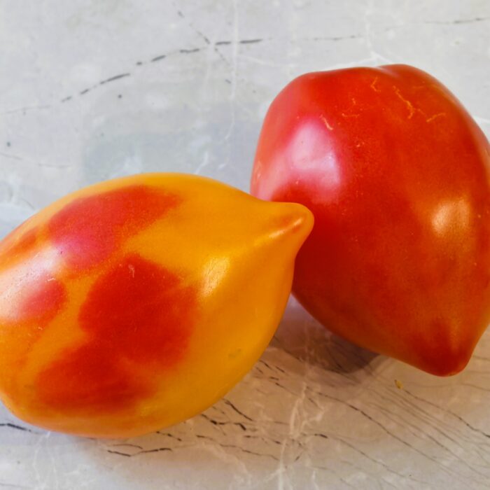 00384 Marina’s Praise