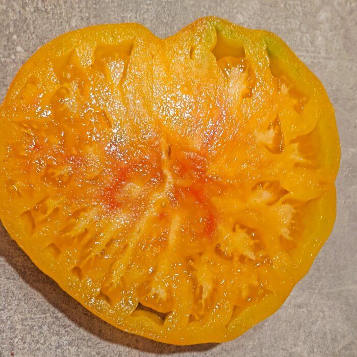 00433 Lipa Żółta/ Липа Желтая