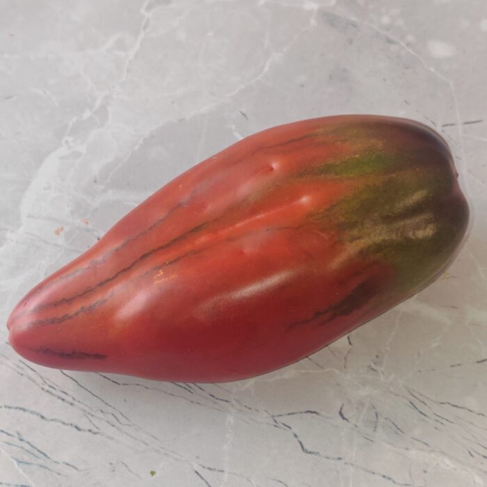 Pomidor Cuban Pepper Like Black