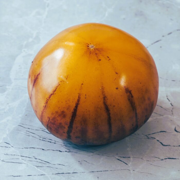 00476 Purple Sunrise