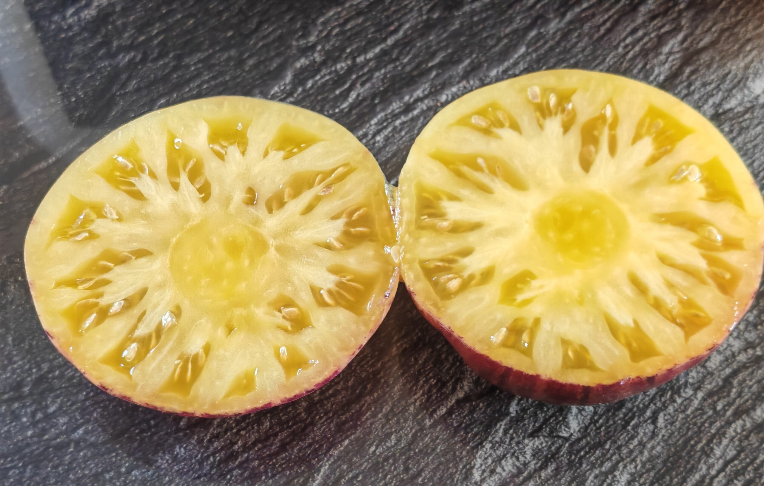 Pomidor Gwb Jcv Julius - obrazek 2
