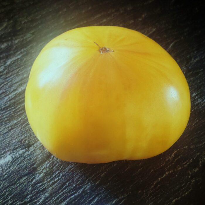Pomidor Great White Beefsteak