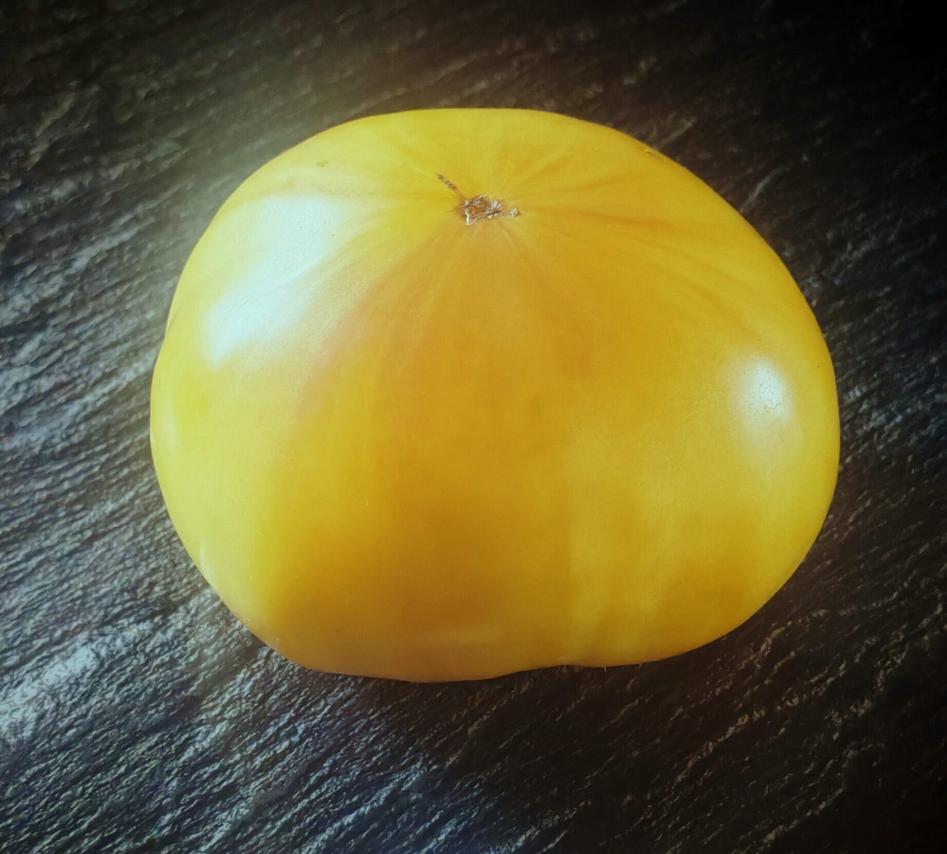 Pomidor Great White Beefsteak