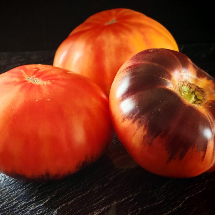 Pomidor Afternoon Delight