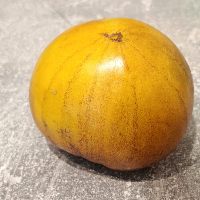 Pomidor Persik nr. 1