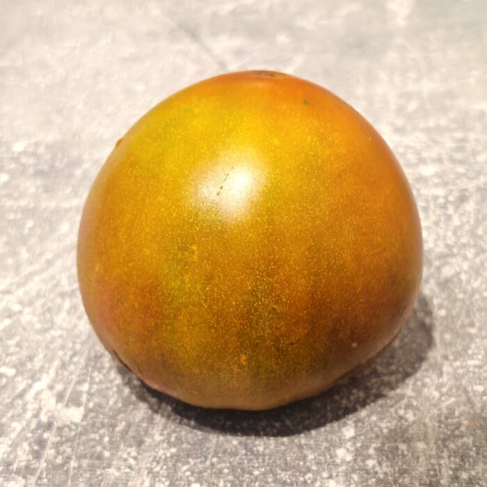 Pomidor Everett’s Rusty Beefsteak