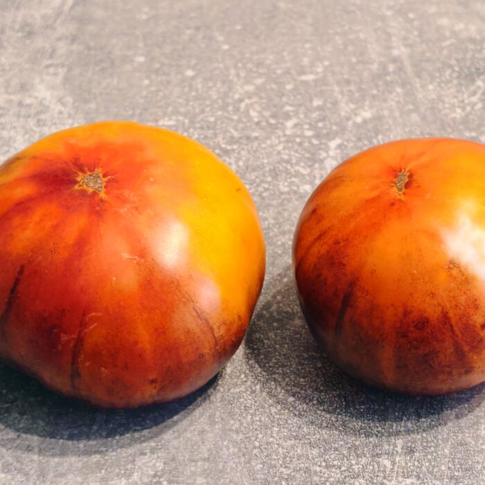 00525 Miracle Blue Arkansas /Чудо Арканзаса Синий