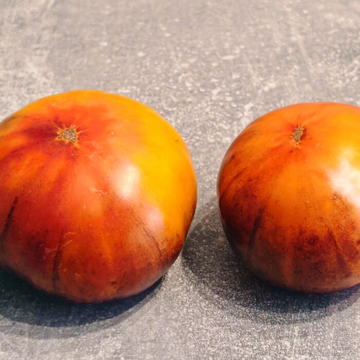 Pomidor Miracle Blue Arkansas (Cudowny niebieski Arkansas)