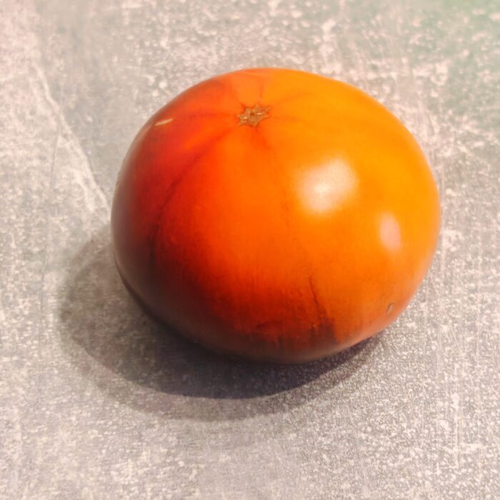 Pomidor Lunar Eclipse