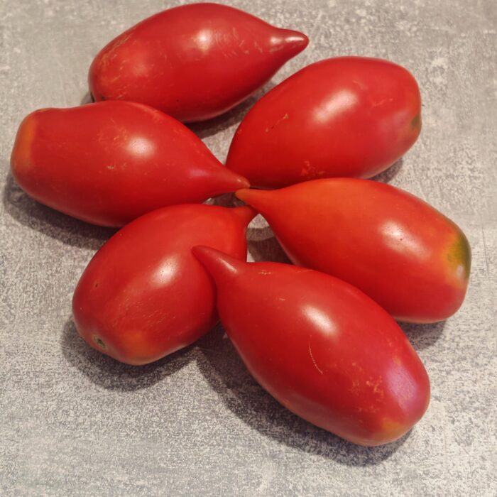 00361 Legenda Tarasenko