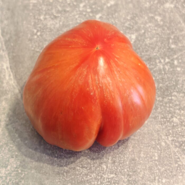 00249 Dragon’s Eye