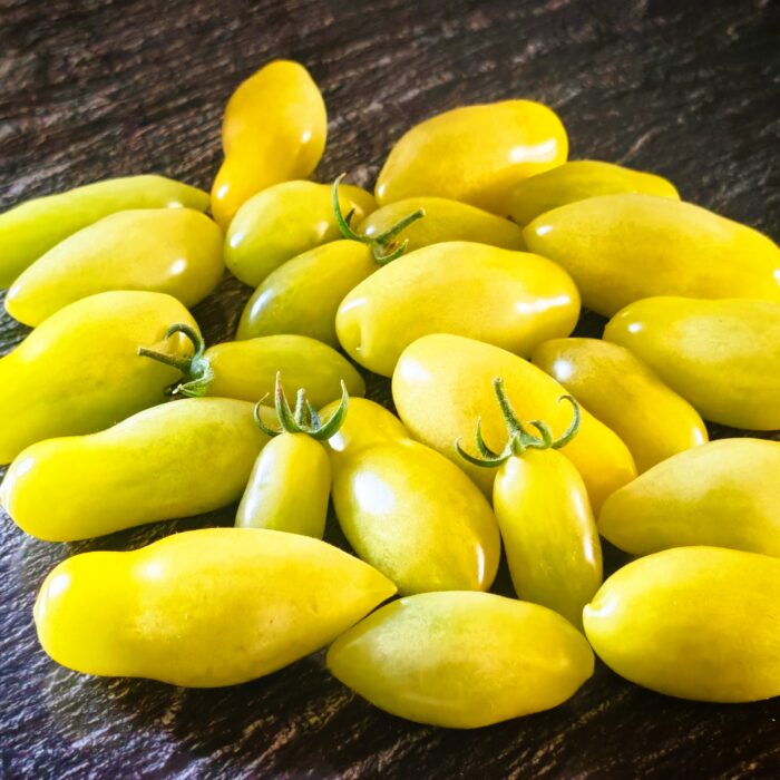 Pomidor Dancing Green Fingers (multiflora)