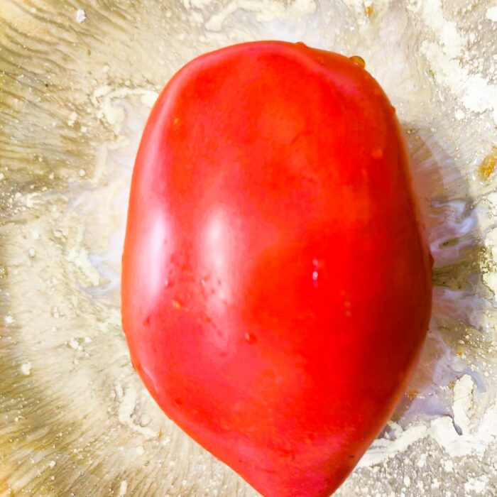 00141 Russian Big Roma