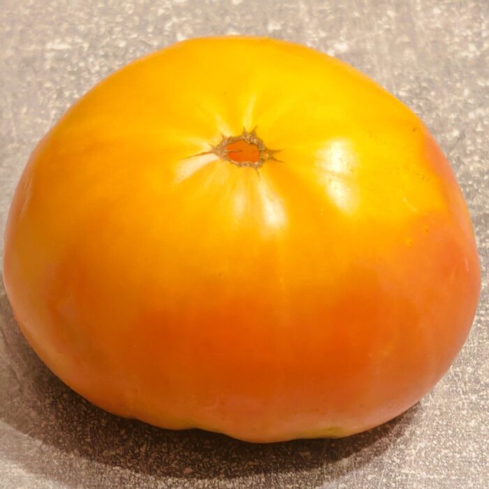 Pomidor Sink's Striped