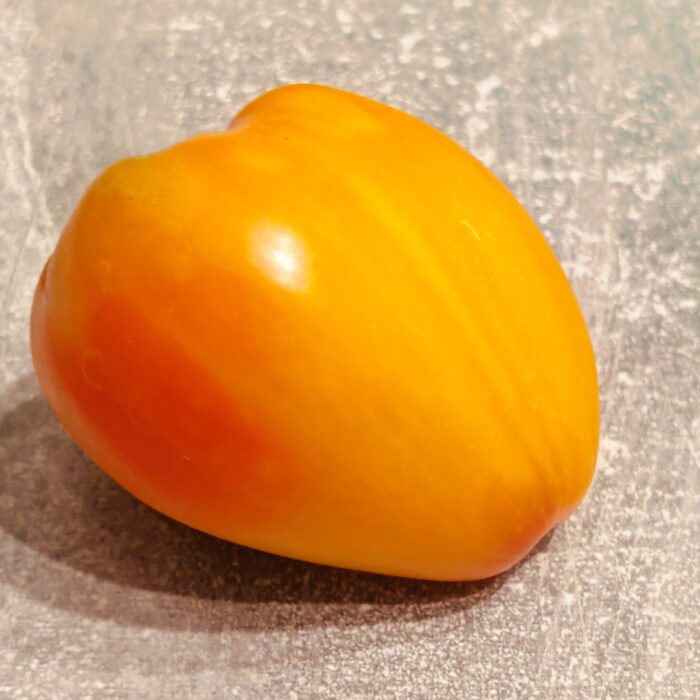 Pomidor Coeur De Zebre