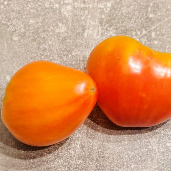 00317 Striped Oxheart