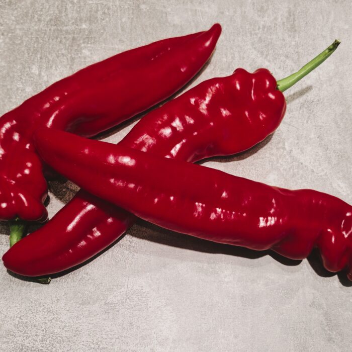 PALERMO RED Papryka słodka