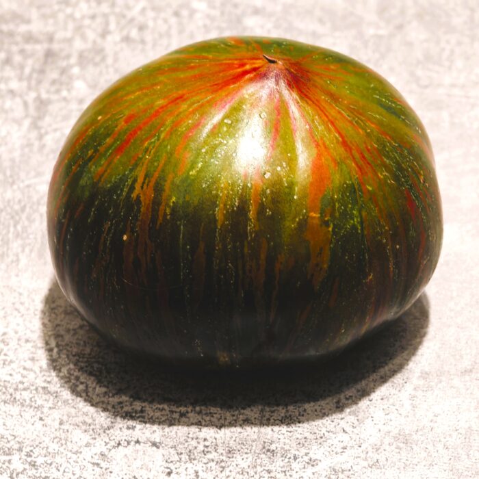 00504 Triumf Sofii (Kolekcja Sofia Saakova)