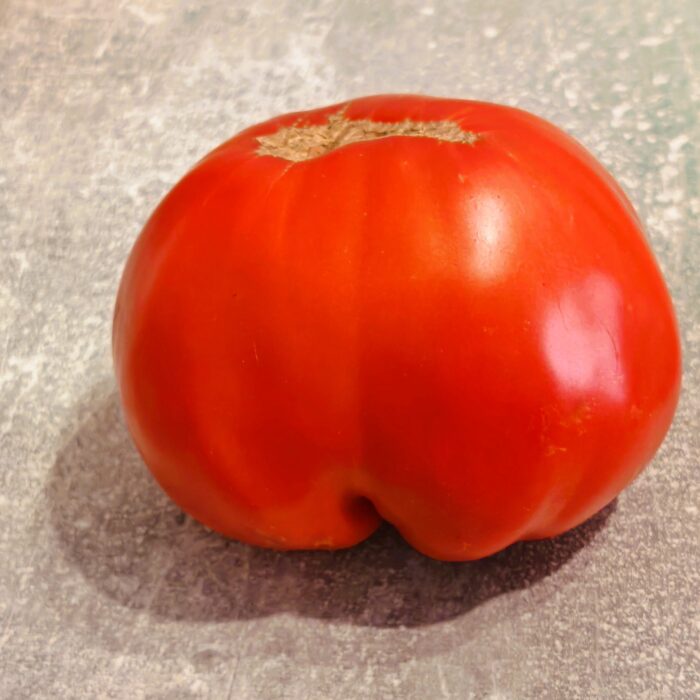 Pomidor Mega Mary