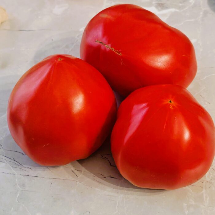 Pomidor Jarson 8