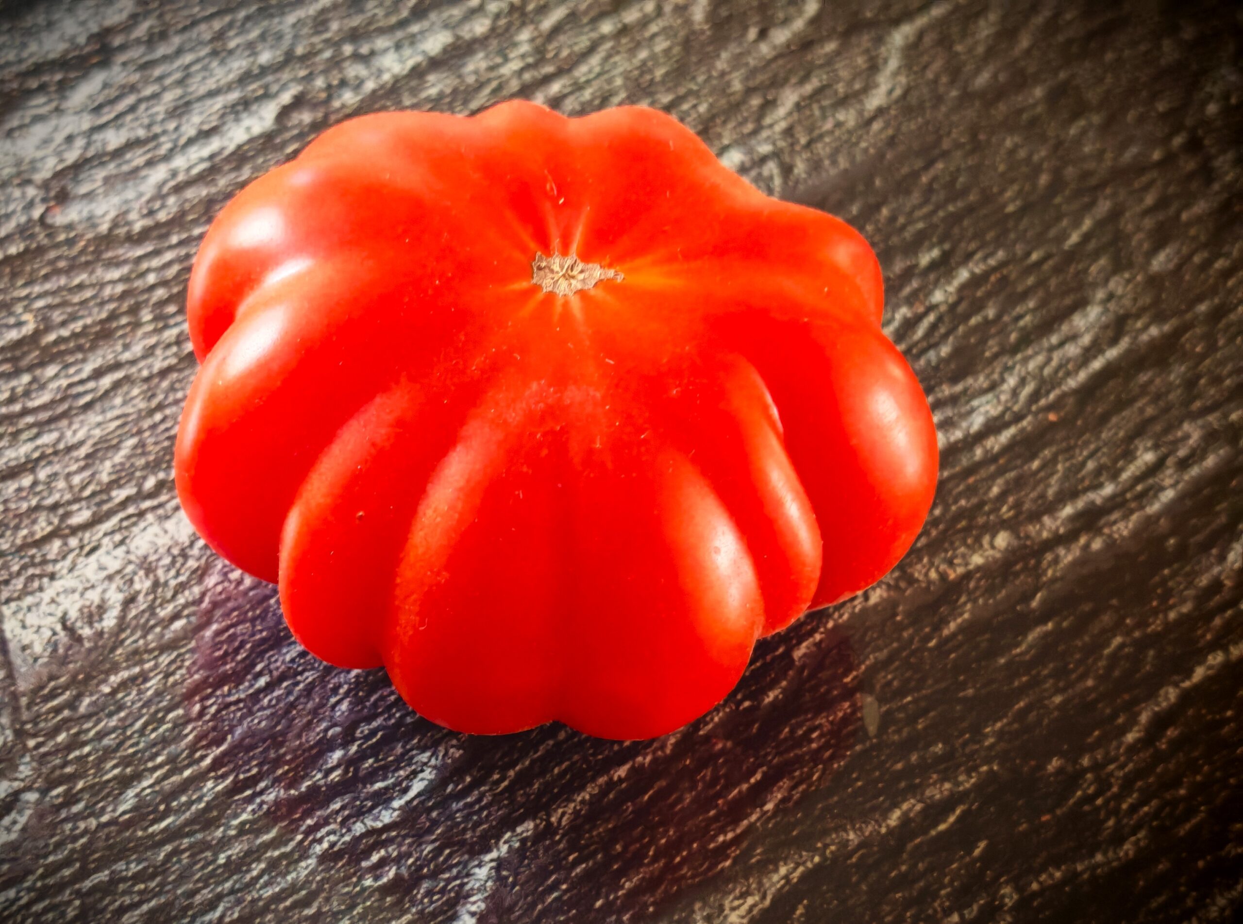 Pomidor Costoluto Fiorentino - obrazek 2