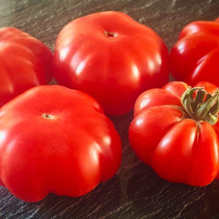 Pomidor Costoluto Fiorentino