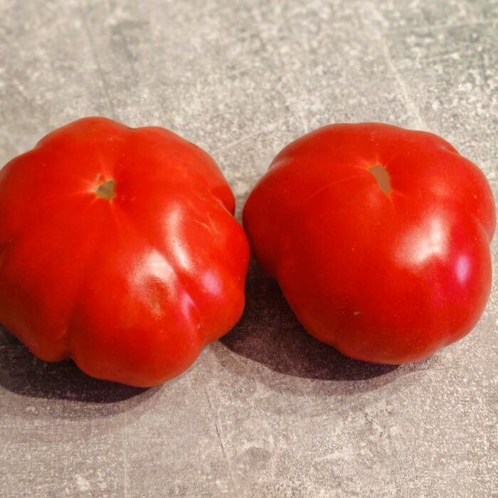 00364 Rozgwiazda/ морская звезда