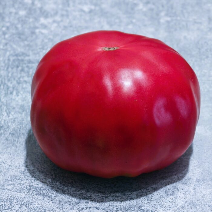 00419 Mama Irene’s